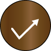 Load image into Gallery viewer, brown polarized
